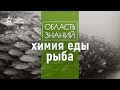 Как правильно хранить и готовить рыбу? Лекция химика Валентина Новикова