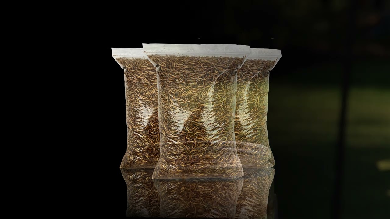 UK Grow Mealworms Ultimate Bird Treat