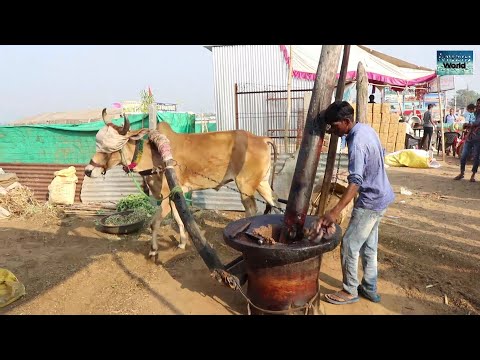 वीडियो: लकड़ी के फर्श या काउंटरटॉप्स से रेड वाइन के दाग हटाने के 4 तरीके