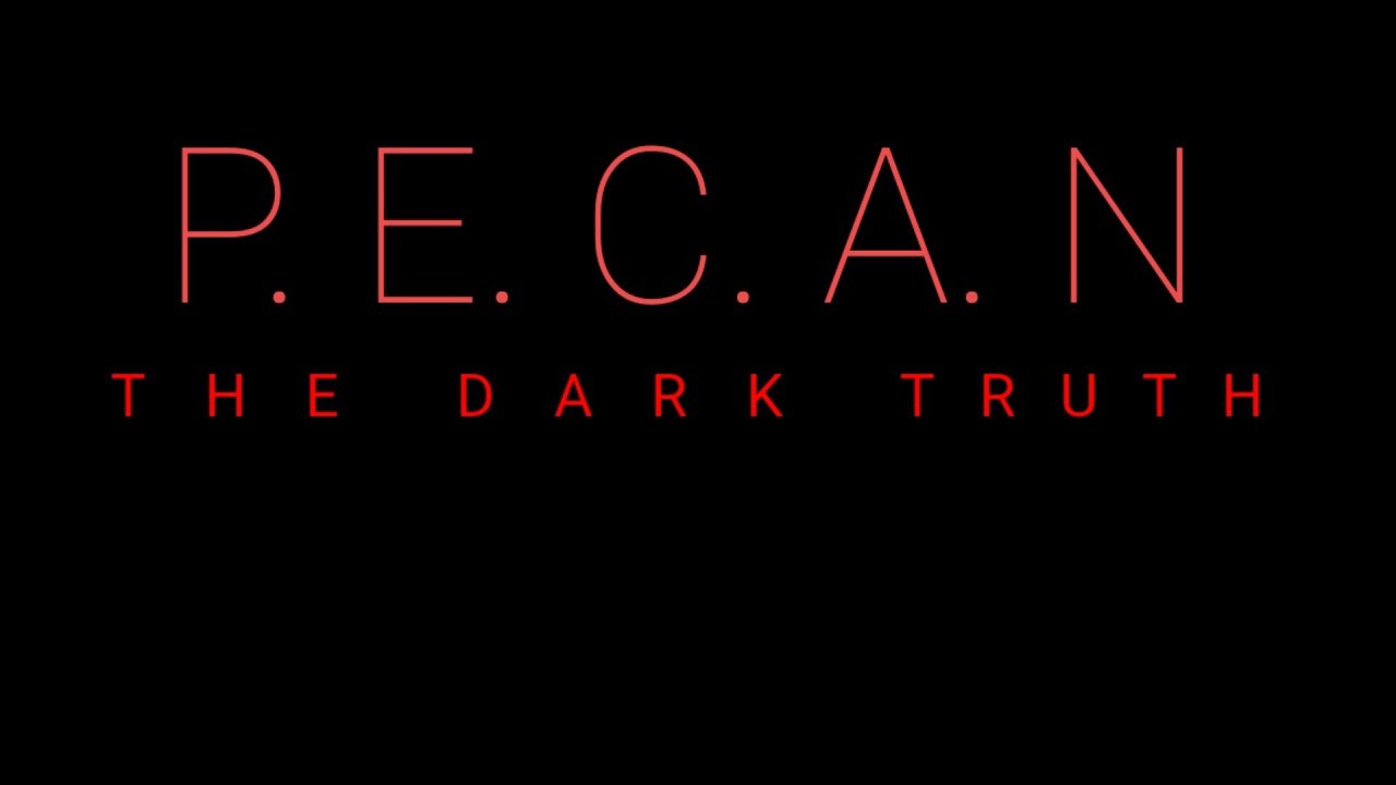 P. E. C. A. N  - THE DARK TRUTH