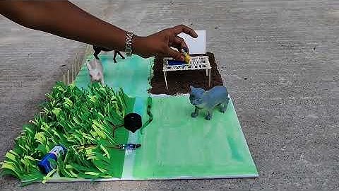 Smart Animal Intrusion Detection & Crop Protection Model.