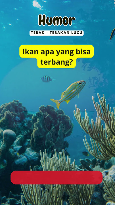 Ikan apa yang bisa terbang #shortvideo  #humor #lucu #kuis #tebaktebakan #ngakak #hiburan