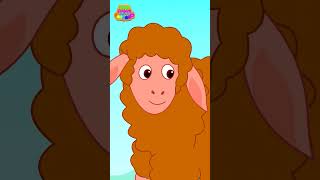 Baa Baa Black Sheep | Nursery Rhymes | Animals Song | Kids Song | Little Finger Rhymes