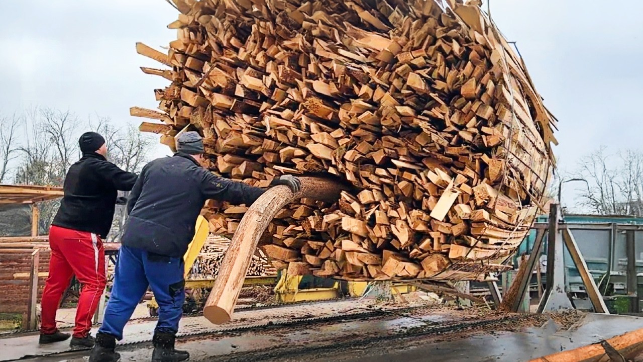 Fastest Wood Shredding in the World | Incredible Machine Skills