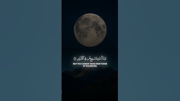وما يستوي الاعمى والبصير قران كريم للقارئ الشيخ ياسر الدوسري ارح سمعك🎧🤍#quran #like #المصحف #قرآن❤️🤩