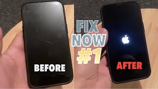 FIX: Force iPhone Screen is Black And Won’t Turn On 📲 iPhone XS/11/12/13/14/15/16/17 Not Turning On