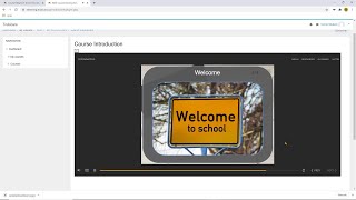 How to use trubicars online course