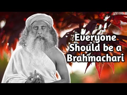 Everyone Should be a Brahmachari _ Sadhguru Light for the Life. - YouTube