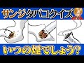 【サンジマニア向け】クソ難問!!サンジのタバコ当てクイズ【仲間がいるよTube!!!!】