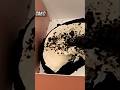 Rating Crumbl Cookies!