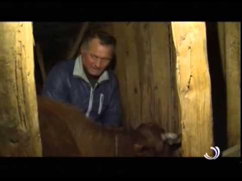 მე ვარ ფერმერი / 12 02 2015