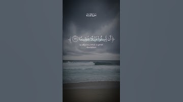 والله يريد أن يتوب عليكم ويريد الذين يتبعون الشهوات #القرآن_الكريم #سورة_النساء #محمد_اللحيدان