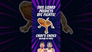 #ufcvegas91 #matheusnicolau 🇧🇷 vs #alexperez 🇺🇲 Prediction Made By A Bearded Dragon Lizard!🦎👊🔮💰 #ufc