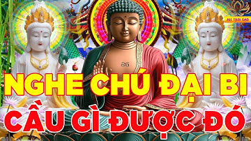 Hàng Ngày Mở Nghe Kinh Chú Đại Bi 4 Biến Này Tiêu Nghiệp Hết Bệnh Cầu Gì Được Đó Gia Đạo An Yên