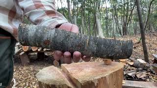 (#2-1) 2本目の木を伐ったから木ベラを作ります　25センチ/ウワミズザクラ