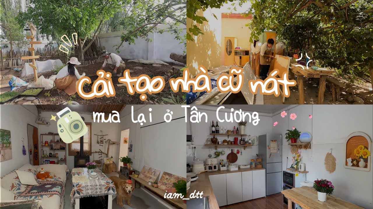 Cải tạo căn nhà cũ mục nát mua lại ở Tân Cương, cặp vợ chồng có cuộc sống như mơ ở tuổi 30 