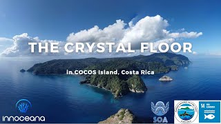 Webinar: An Innovative and Collaborative Study of the Coral Reefs on Cocos Island