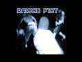 Raised Fist - i´ve tried