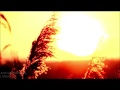 Jojo Andersson - Langsyne