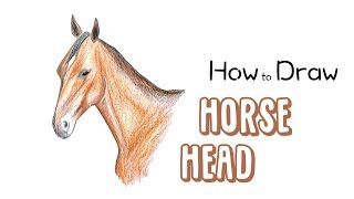 How to Draw a Horse Head (narrated)