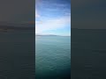 Мой любимчик - Рыжий.
