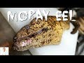 MORAY EEL, Clean and Cook | Amazing Knife Skills