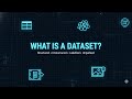 What Is a Dataset? Structured, Unstructured, Labelled &amp; Unlabeled Data Explained