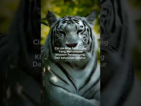 ciri-ciri orang yang