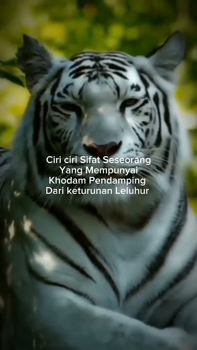ciri-ciri orang yang memiliki khodam leluhur