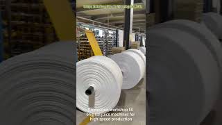 Professional PP Woven Bag Manufacturer | BOPP Fertilizer &amp; Pet Food Packaging Factory in China
