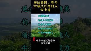 廣結善緣，晚年幸福又好運的五大生肖！你是其中之一嗎？ #生肖 #財運 #運勢 #風水