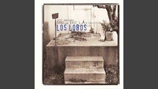 Video thumbnail of "Los Lobos - River of Fools (Live at the Alberta Bair Theatre, 1992)"