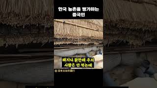 한국 농촌을 평가하는 중국인