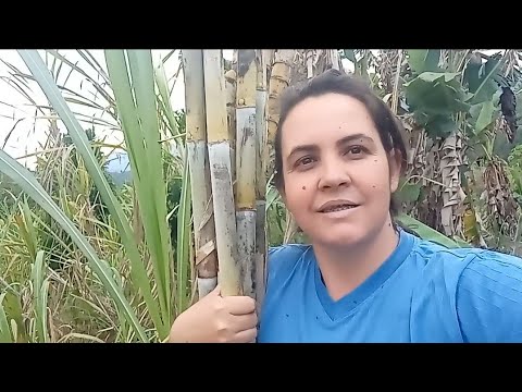 como é feito