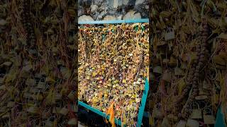 Wish Locks #chandragiri #wishlist #travel #makeawish #explorenepal #sochneaankha #seeexploreshare
