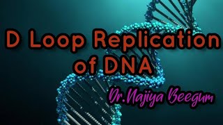 D loop Replication