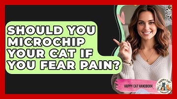 Should You Microchip Your Cat If You Fear Pain? - Happy Cat Handbook