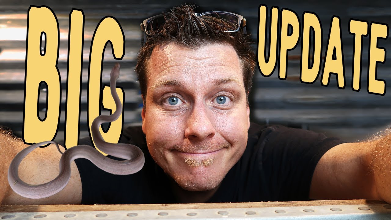 Reach Out Reptile Room Update!!! - YouTube