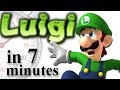 The History of Luigi (ft. PeanutButterGamer) | A Brief History