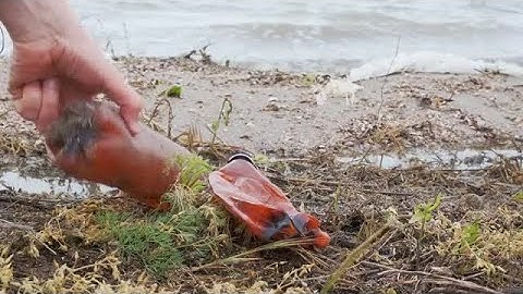 Man Picking Up Garbage Stock Video