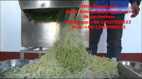 CH-20 Leaf vegetable cutting/ slicing machine, lettuce, spinach, cabbage, pepper cutter slicer