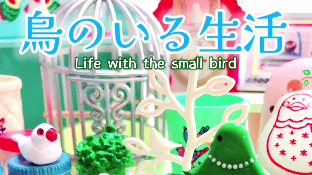 鳥のいる生活☆リーメント【ピーちゃん色とりどり】 - ハグルの