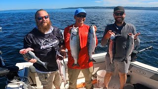 Salmon Fishing: Limits of Pink Salmon & a King released due to Regulation Changes by Peeling Line 780 views 9 months ago 11 minutes, 10 seconds