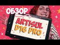 КРУТОЙ ЭКРАННЫЙ ПЛАНШЕТ Artisul D16 PRO | ОБЗОР