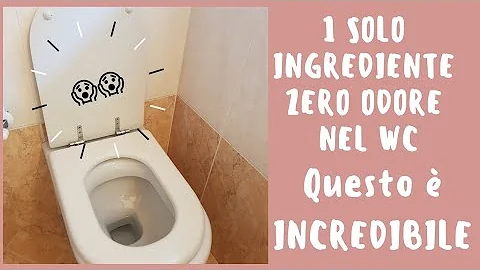 Come eliminare la puzza di pipì dal water?