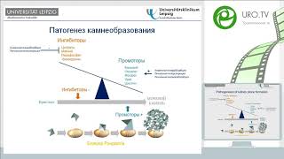 Ян Хальбриттер - Мочекаменная болезнь у взрослых когда стоит задуматься о генетических нарушениях