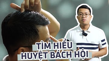 Tìm hiểu vị trí, cách day bấm, công dụng chữa bệnh và một số lưu ý khi day bấm huyệt Bách hội