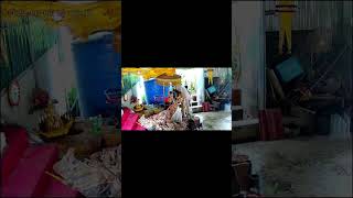 កូនចៅមកស្រោចទឹក  ដេញមន្តខ្មៅ ហេងៗ មានលាភ មានជ័យ សុខចម្រើន🙏🙏🙏លេខលោកគ្រូ010721453