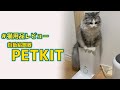 【オススメペットの自動給餌器紹介】PETKIT【スマホで簡単管理&操作】