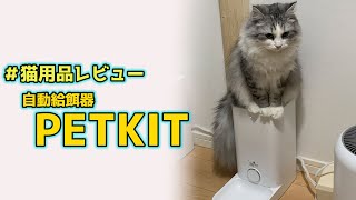 【オススメペットの自動給餌器紹介】PETKIT【スマホで簡単管理&操作】